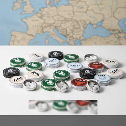 Bulk Nicotine Pouches in Europe: The Complete Guide