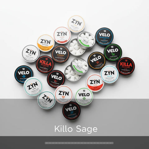 Nicotinezakjes Online Kopen: Complete Gids 2026
