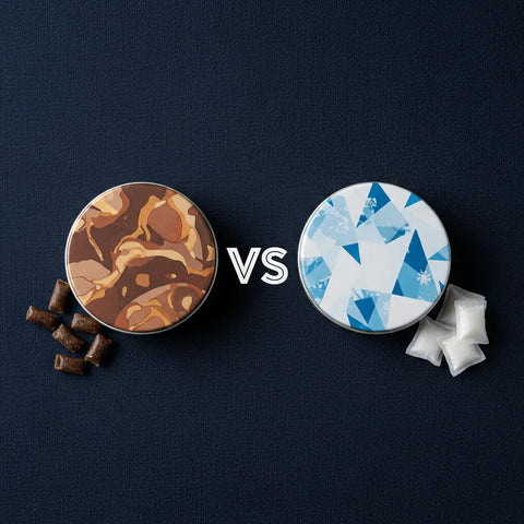 Nicotinezakjes versus snus: wat is het verschil?