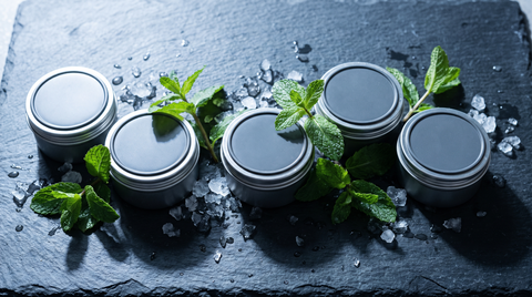 Overhead flat-lay of round mint nicotine pouch cans among fresh mint sprigs on dark slate