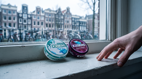 Two ICEBERG nicotine pouch cans on a concrete ledge with a Dutch canal-house streetscape behind