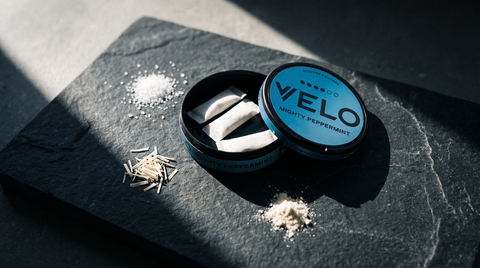Open nicotine pouch can surrounded by ingredient granules and plant fibres on dark stone