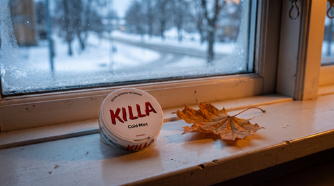 Nicotine pouch can beside a maple leaf on a frost-edged windowsill overlooking a wintry street