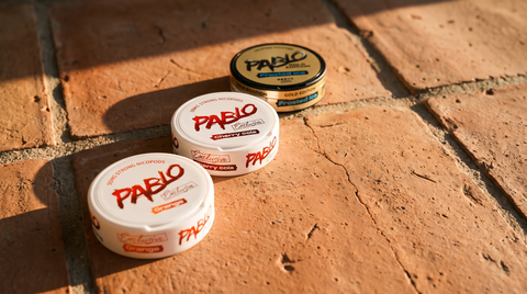 Three PABLO nicotine pouch cans arranged on warm terracotta tiles in raking afternoon light