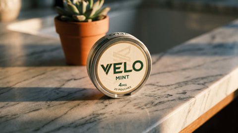 Best Nicotine Pouch Brands UK: Top 12 Picks for 2026 — real pouch can available at DarePouch