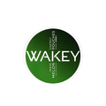 WAKEY - Melon Wave slim energy pouches can