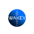 WAKEY - Blizzard Mint slim energy pouches can