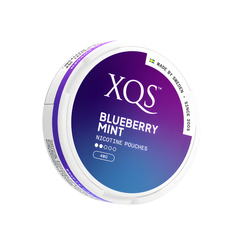 XQS Light - Blueberry Mint slim nicotine pouches can