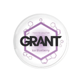 GARANT — Ice Blueberry SLIM nikotino maišelių dėžutė