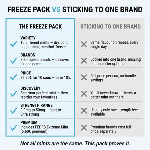 Mint / Ice Cold — 10 Pouches for the Ultimate Fresh & Icy Experience