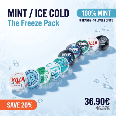 Mint / Ice Cold — 10 maišelių maksimaliai gaiviai ir ledinei patirčiai