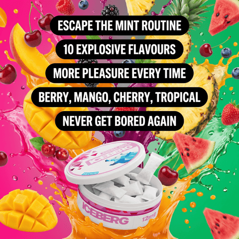 Fruity Mix — 10 Pouches for an Intense Fruity Experience
