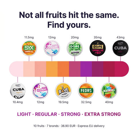 Fruity Mix — 10 Pouches for an Intense Fruity Experience
