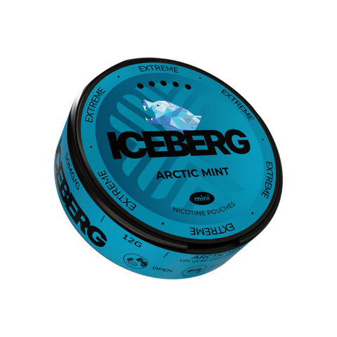 ICEBERG Mini - Arctic Mint