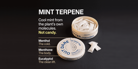 OutDare Sleep Pouches, Mint Terpene: menthol, menthone, eucalyptol